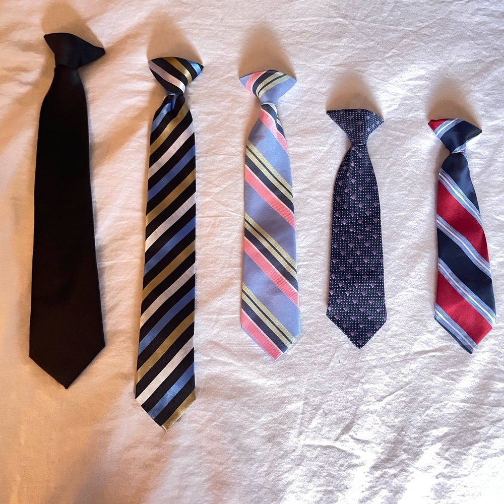Elegant Tie Collection in Bold Colors